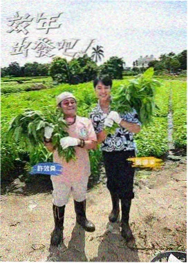 一路向北的旅行 户外综艺在线看